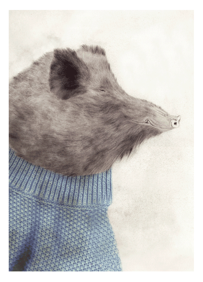 wild pig wild pig