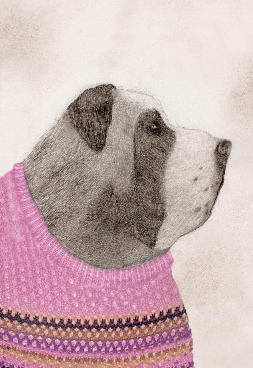 Bernard Bernard